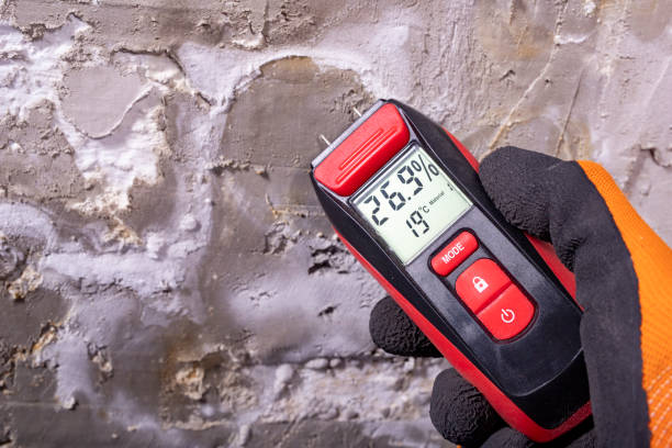Best Insurance-Related Mold Remediation in Ozona, TX