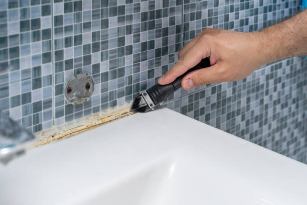 Best Residential Mold Remediation in Ozona, TX