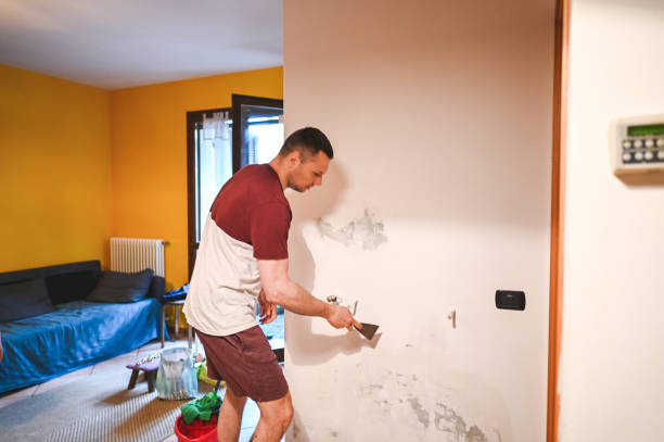Best Localized Mold Remediation (e.g., coastal areas, humid climates) in Ozona, TX